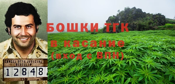 прущие грибы Аркадак