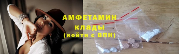 прущие грибы Аркадак