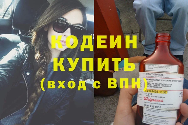 прущие грибы Аркадак