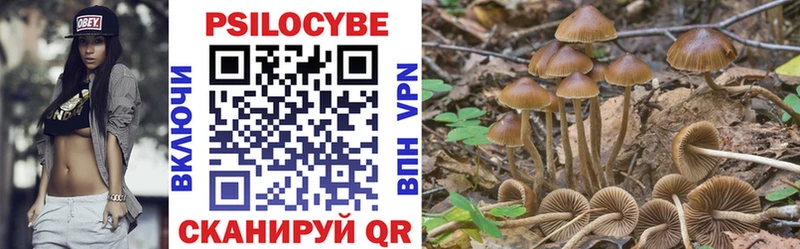 Псилоцибиновые грибы MAGIC MUSHROOMS  shop официальный сайт  Руза  ссылка на мегу как войти 
